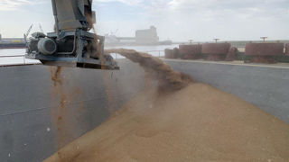 FranceAgriMer a revu en légère baisse son estimation d’exportation à destination des pays tiers de –100 000 tonnes à 3,9 millions de tonnes. FranceAgriMer a revu en légère baisse son estimation d’exportation à destination des pays tiers de –100 000 tonnes à 3,9 millions de tonnes.