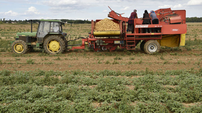 Les Co Ts De Production Des Pommes De Terre Augmentent