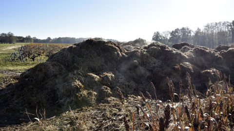 Les lisiers et fumiers transformés sont désormais autorisés et peuvent circuler librement sans aucune obligation de traçabilité liée à leur statut sur le territoire européen.