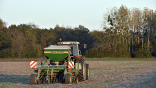Au 16 novembre, les semis des céréales d'hiver étaient terminés en Pologne, en Hongrie, ou encore en Roumanie, indique la Commission européenne. Au 16 novembre, les semis des céréales d'hiver étaient terminés en Pologne, en Hongrie, ou encore en Roumanie, indique la Commission européenne.