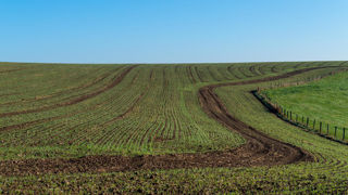 Une opération de visite et de saisie inopinée auprès d’entreprises suspectées de pratiques anticoncurrentielles dans le secteur des intrants agricoles a été menée le 26 novembre 2024 par l'Autorité de la concurrence. Une opération de visite et de saisie inopinée auprès d’entreprises suspectées de pratiques anticoncurrentielles dans le secteur des intrants agricoles a été menée le 26 novembre 2024 par l'Autorité de la concurrence.
