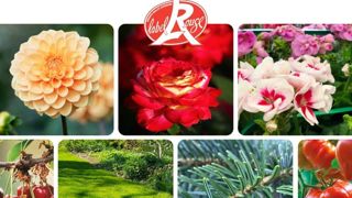 La campagne de promotion des labels rouges et signes de qualité officiels comprend une large gamme de supports visuels et éducatifs, et plusieurs actions phares, aussi bien dans les points de vente que dans les médias.