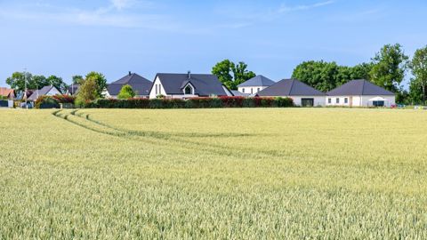 La préservation d'un foncier agricole productif est un des leviers de la souveraineté alimentaire. La préservation d'un foncier agricole productif est un des leviers de la souveraineté alimentaire.