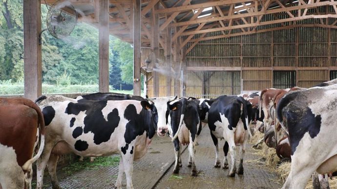 La génétique peut permettre d'atténuer les conséquences du changement climatique, sans pour autant les éviter totalement.