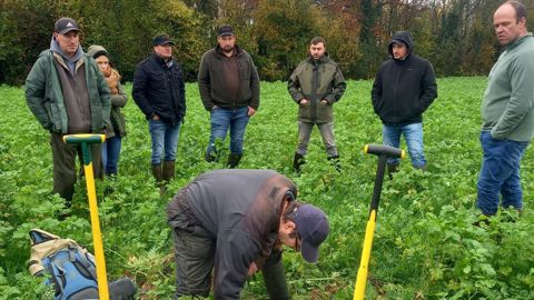 Plusieurs TC de la coopérative Noriap vont accompagner techniquement une trentaine de producteurs de pois et féveroles dans le cadre du projet Protei'sol.