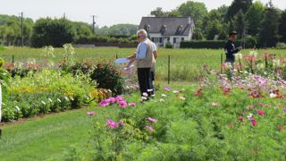 Depuis le 1er septembre 2023, de nouvelles règles s'appliquent concernant le dispositif du cumul emploi-retraite.