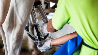 Le Cniel estime que la collecte de lait bio française avoisinera 1,15 Md de litres fin 2025 Le Cniel estime que la collecte de lait bio française avoisinera 1,15 Md de litres fin 2025