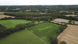 Une dérogation à l'interdiction de labour des prairies sensibles peut s'appliquer si la parcelle a subi des dommages causés par les campagnols. Une dérogation à l'interdiction de labour des prairies sensibles peut s'appliquer si la parcelle a subi des dommages causés par les campagnols.