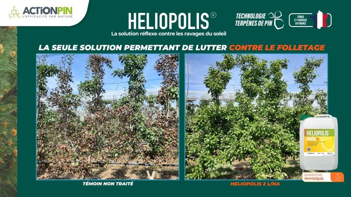 HELIOPOLIS® : La solution réflexe contre les ravages du soleil