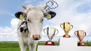 N'hésitez pas à nous donner votre petit préféré en commentaire ! N'hésitez pas à nous donner votre petit préféré en commentaire !