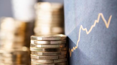 En début d'après-midi, vendredi 13 décembre, le colza Euronext à terme février 2025 était en hausse de 14,25 €/t, à 552,25 €/t.