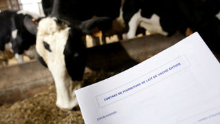 La Commission européenne propose de rendre obligatoire les contrats écrits entre les agriculteurs et leurs acheteurs. La Commission européenne propose de rendre obligatoire les contrats écrits entre les agriculteurs et leurs acheteurs.