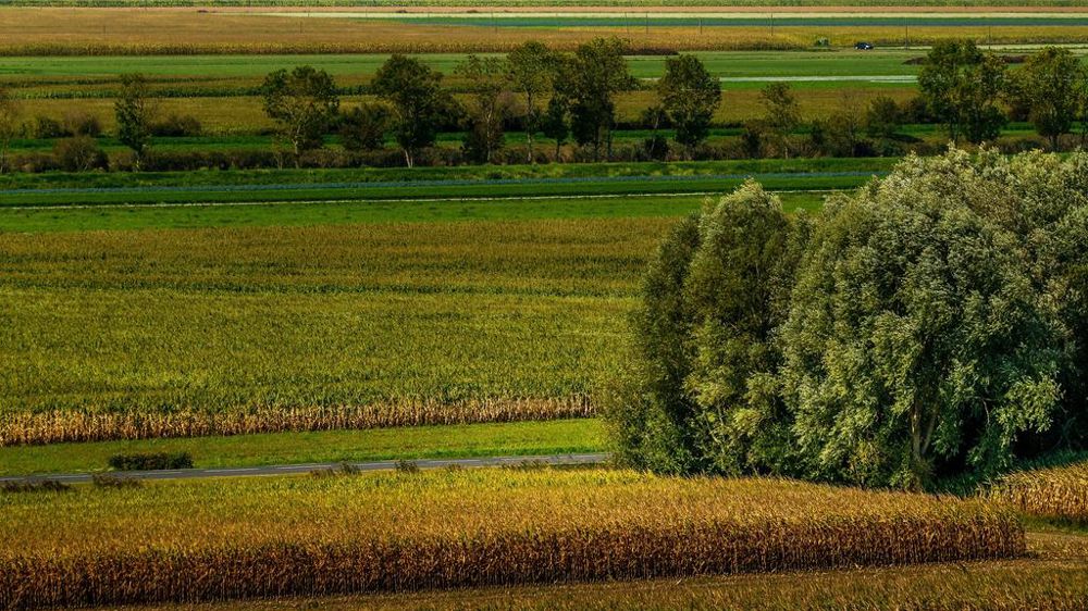 Vrai  faux des crédits d'impôts environnementaux agricoles