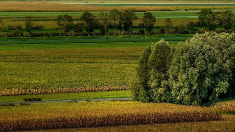 Comment y voit plus clair dans les crédits d'impôts environnementaux ? Comment y voit plus clair dans les crédits d'impôts environnementaux ?