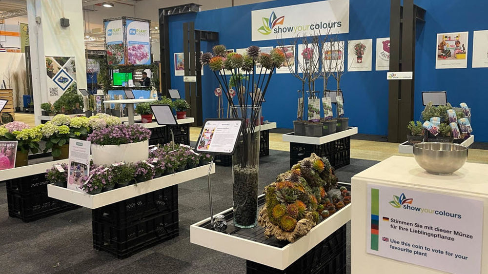 Le concours Show Your Colours élira à nouveau les meilleures plantes (ligneuses, vivaces) et les concepts qui racontent la meilleure histoire pour promouvoir ces plantes auprès des acheteurs.