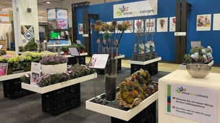 Le concours Show Your Colours élira à nouveau les meilleures plantes (ligneuses, vivaces) et les concepts qui racontent la meilleure histoire pour promouvoir ces plantes auprès des acheteurs. Le concours Show Your Colours élira à nouveau les meilleures plantes (ligneuses, vivaces) et les concepts qui racontent la meilleure histoire pour promouvoir ces plantes auprès des acheteurs.