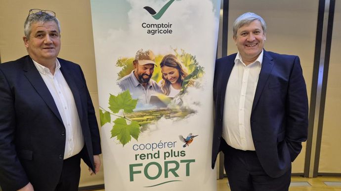 « Si le blé a déçu en 2024, le maïs a été à la hauteur », ont fait part Marc Moser, président, et Denis Fend, DG du Comptoir agricole, lors de l’assemblée générale, vendredi 13 décembre, à Bischoffsheim (Bas-Rhin).