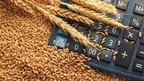 Plusieurs facteurs influencent les écarts de revenus entre exploitations agricoles, toutes filières confondues. Plusieurs facteurs influencent les écarts de revenus entre exploitations agricoles, toutes filières confondues.