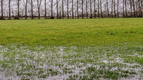 En 2024, les précipitations ont été 15 % supérieures aux normales, entraînant des inondations à de nombreux endroits.