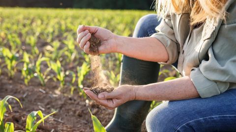 L'accompagnement des actifs qui envisagent une reconversion professionnelle vers le métier d'agriculteur constitue un réel enjeu pour le secteur. L'accompagnement des actifs qui envisagent une reconversion professionnelle vers le métier d'agriculteur constitue un réel enjeu pour le secteur.