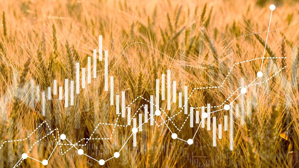 Les marchés agricoles s'annoncent incertains en 2025.