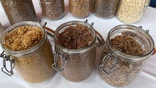 De gauche à droite : corn gluten feed, drêches de brasserie, pulpes de betteraves. De gauche à droite : corn gluten feed, drêches de brasserie, pulpes de betteraves.