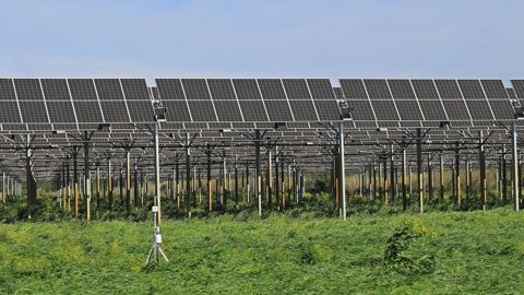 Les installations agrivoltaïques doivent respecter des règles précises pour ne pas entraver l'activité agricole.