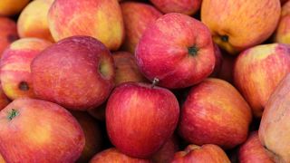 L'Association française pour l’information scientifique (Afis) dénonce une « désinformation » et « un emballement médiatique » autour de la question des résidus phyto dans les fruits et légumes. L'Association française pour l’information scientifique (Afis) dénonce une « désinformation » et « un emballement médiatique » autour de la question des résidus phyto dans les fruits et légumes.