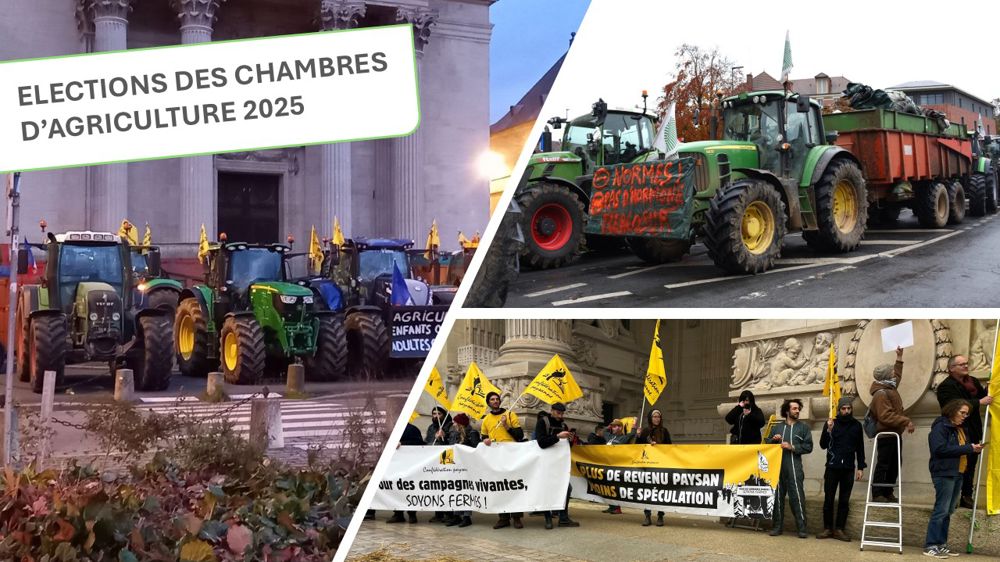 La campagne des élections chambres d'agriculture 2025 s'ouvre dans un contexte inédit de contestation du monde agricole initié il y a plus d'un an.