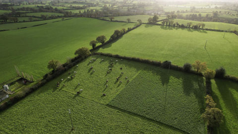 Les jeunes installés en 2024 peuvent bénéficier d'un dégrèvement de 50 % de la taxe foncière sur les propriétés non bâties.