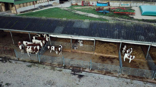 Les charges pour les exploitations spécialisées en bovins laitiers ont augmenté de 1,5 % entre 2022 et 2023, passant à 336 983 euros en 2023. (Photo d'illustration, élevage en Haute-Saône) Les charges pour les exploitations spécialisées en bovins laitiers ont augmenté de 1,5 % entre 2022 et 2023, passant à 336 983 euros en 2023. (Photo d'illustration, élevage en Haute-Saône)