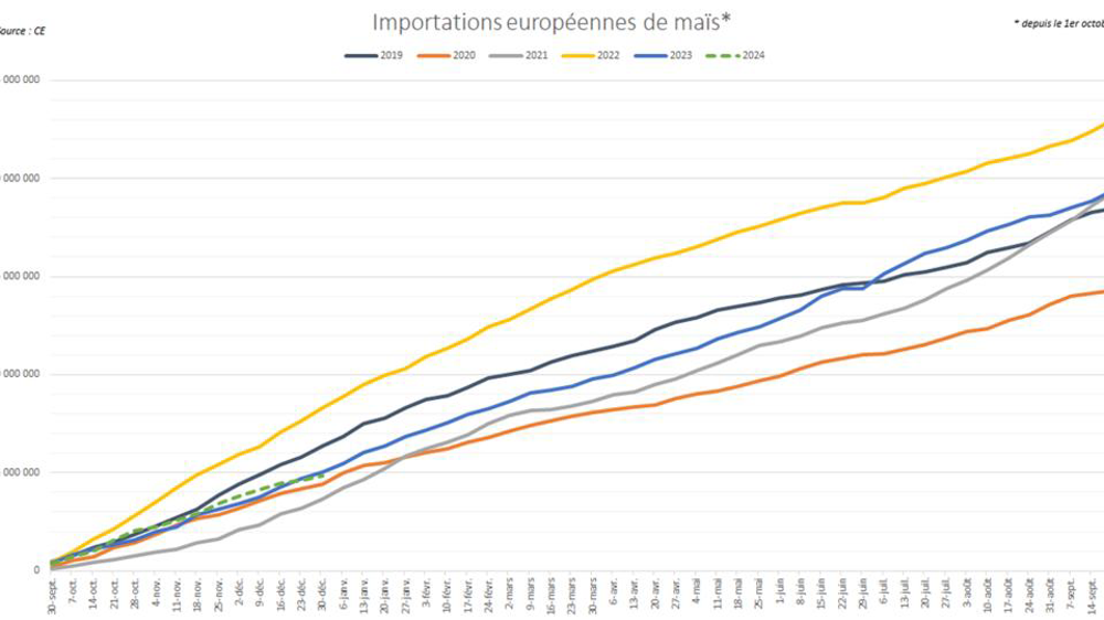 Les importations européennes de maïs montrent des signes de ralentissement Les importations européennes de maïs montrent des signes de ralentissement