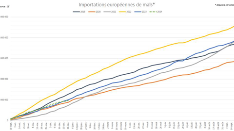 Les importations européennes de maïs montrent des signes de ralentissement Les importations européennes de maïs montrent des signes de ralentissement