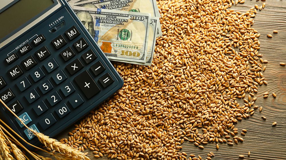 Mardi 7 janvier, à la clôture de Chicago, le blé SRW à échéance mars 2025 a grimpé de 2,0 c$/bu, à 5,42 $/bu.