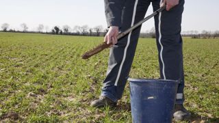 « En cas de sols très profonds (plateaux limoneux), il faut aller jusqu'à 120 cm, ce qui correspond à la profondeur d'enracinement potentielle d'un blé », précise Arvalis. « En cas de sols très profonds (plateaux limoneux), il faut aller jusqu'à 120 cm, ce qui correspond à la profondeur d'enracinement potentielle d'un blé », précise Arvalis.