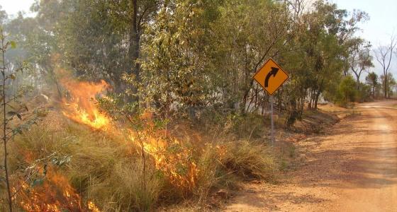 Feux de forêt dans le bush australien.