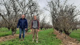 Thomas Carayon est la troisième génération de nuciculteurs, après son père Marc (à gauche) et son oncle Jacques, qui ont eux-même succédé à Jean-Marie (le grand-père de Thomas) et son frère « Petit Louis ». Les premiers noisetiers ont été plantés ici en 1976. Thomas Carayon est la troisième génération de nuciculteurs, après son père Marc (à gauche) et son oncle Jacques, qui ont eux-même succédé à Jean-Marie (le grand-père de Thomas) et son frère « Petit Louis ». Les premiers noisetiers ont été plantés ici en 1976.