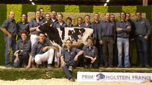 Vente holstein Paris Dairy Sale