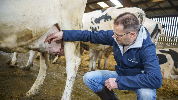 [] « La durée de vie des vaches laitières baisse »