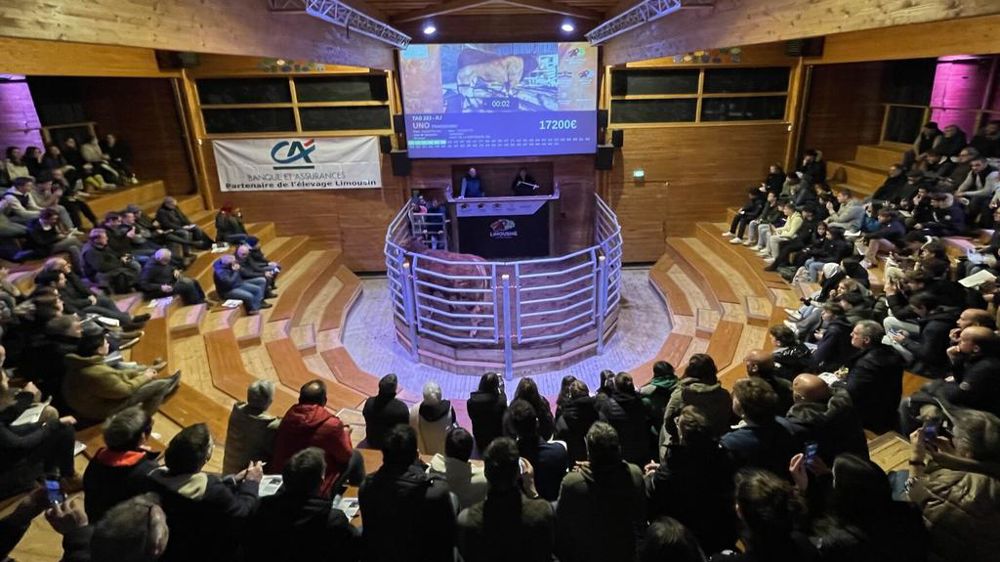 Vente de reproducteurs de janvier 2025 à Lanaud