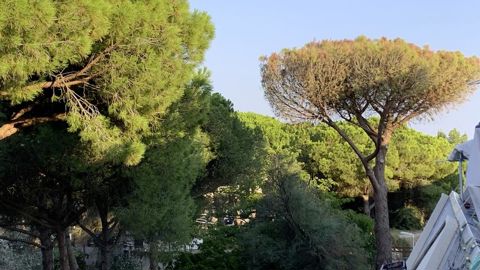 A Niort fin juin, experts, chercheurs, écologues…aideront à comprendre et échanger sur les causes et solutions concrètes face au dépérissement des arbres urbains.