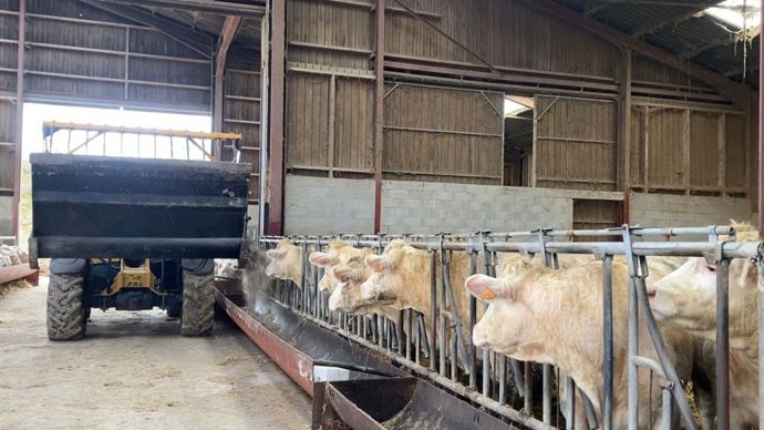 Le godet désileur a permis à l'éleveuse d'en finir avec les seaux pour la distribution du concentré.