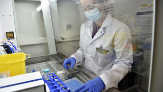 Le laboratoire de santé animale de l’Anses a confirmé l’infection et l’identité de la souche virale de fièvre aphteuse détectée en Allemagne. Le laboratoire de santé animale de l’Anses a confirmé l’infection et l’identité de la souche virale de fièvre aphteuse détectée en Allemagne.