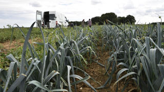 Pour la campagne de 2023, l'aide au maraîchage était fixée à 1 748 € par hectare. Pour la campagne de 2023, l'aide au maraîchage était fixée à 1 748 € par hectare.