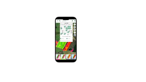 Spotifarm offre des images satellites tous les 10 jours Spotifarm offre des images satellites tous les 10 jours