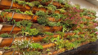 Green Sentinel – IDSB : des murs-ombrières en béton bas carbone