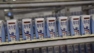 Dans un contexte déficitaire dans la majorité des filières animales, le solde commercial des produits laitiers résiste. Dans un contexte déficitaire dans la majorité des filières animales, le solde commercial des produits laitiers résiste.