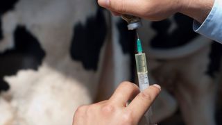 Des ruptures de vaccins ont été constatées. Des ruptures de vaccins ont été constatées.