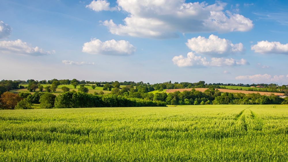 La notion de souveraineté alimentaire est au coeur du projet de loi.