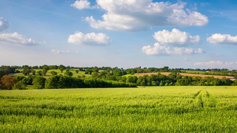 La notion de souveraineté alimentaire est au coeur du projet de loi.